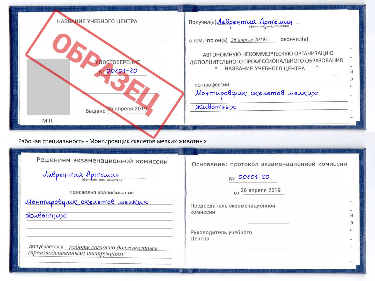 Монтировщик скелетов мелких животных Алексеевка