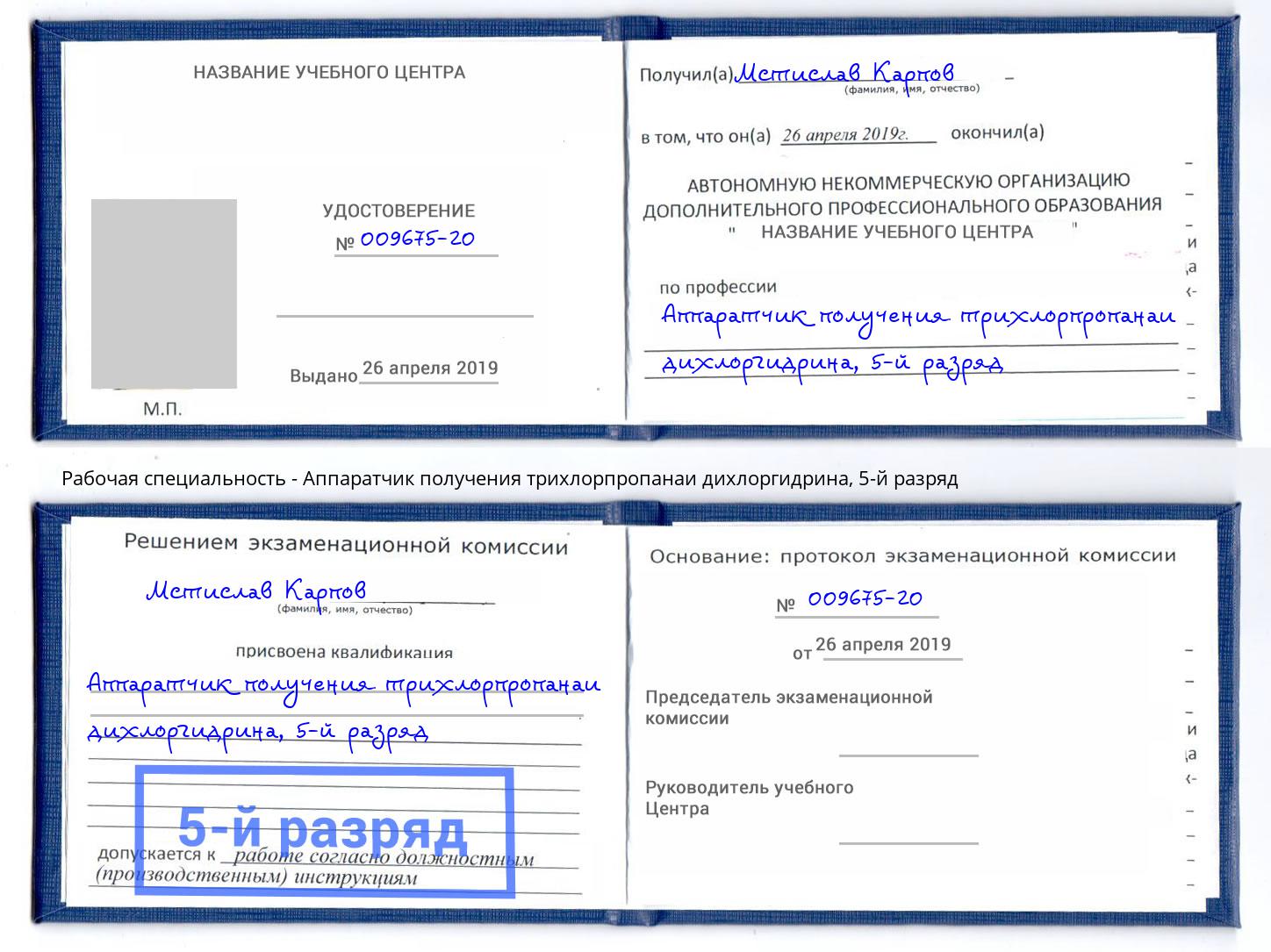 корочка 5-й разряд Аппаратчик получения трихлорпропанаи дихлоргидрина Алексеевка
