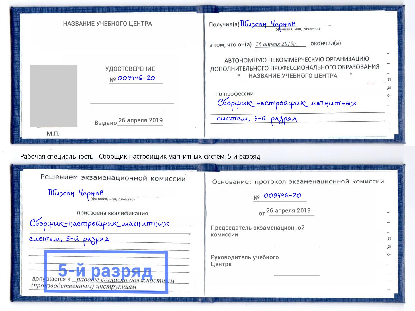 корочка 5-й разряд Сборщик-настройщик магнитных систем Алексеевка